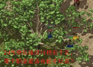 2d传奇私服排行榜前十名,哪个职业最适合新手玩家? 2d传奇私服排行榜前十名,哪个职业最适合新手玩家?