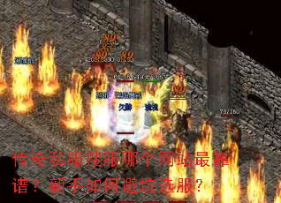 传奇私服搜服哪个网站最靠谱?新手如何避坑选服? 传奇私服搜服哪个网站最靠谱?新手如何避坑选服?