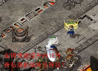 ��ο�������2115����˽���¶˽�ɫ�ȼ���