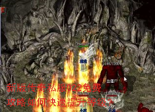 新版传奇私服022免费攻略如何快速提升等级? 新版传奇私服022免费攻略如何快速提升等级?