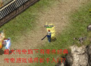 盛大传奇旗下有哪些经典传奇游戏值得新手入门? 盛大传奇旗下有哪些经典传奇游戏值得新手入门?