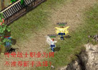 传奇战士职业为何不推荐新手选择? 传奇战士职业为何不推荐新手选择?