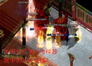 如何前往复古传神游戏中的丛林迷宫? 如何前往复古传神游戏中的丛林迷宫?