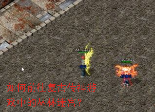 如何前往复古传神游戏中的丛林迷宫? 如何前往复古传神游戏中的丛林迷宫?